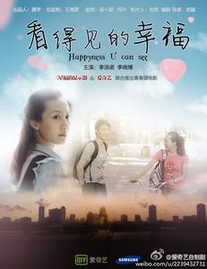 巴西签证假的多少钱